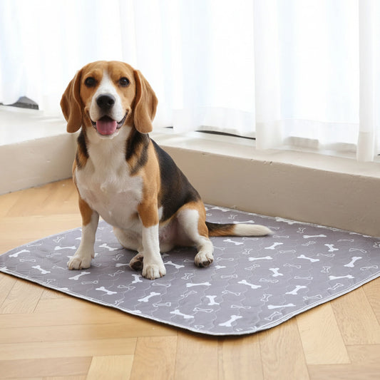 DailyPaw Pup Pad