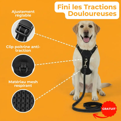 Harnais Anti-Traction DailyPaw