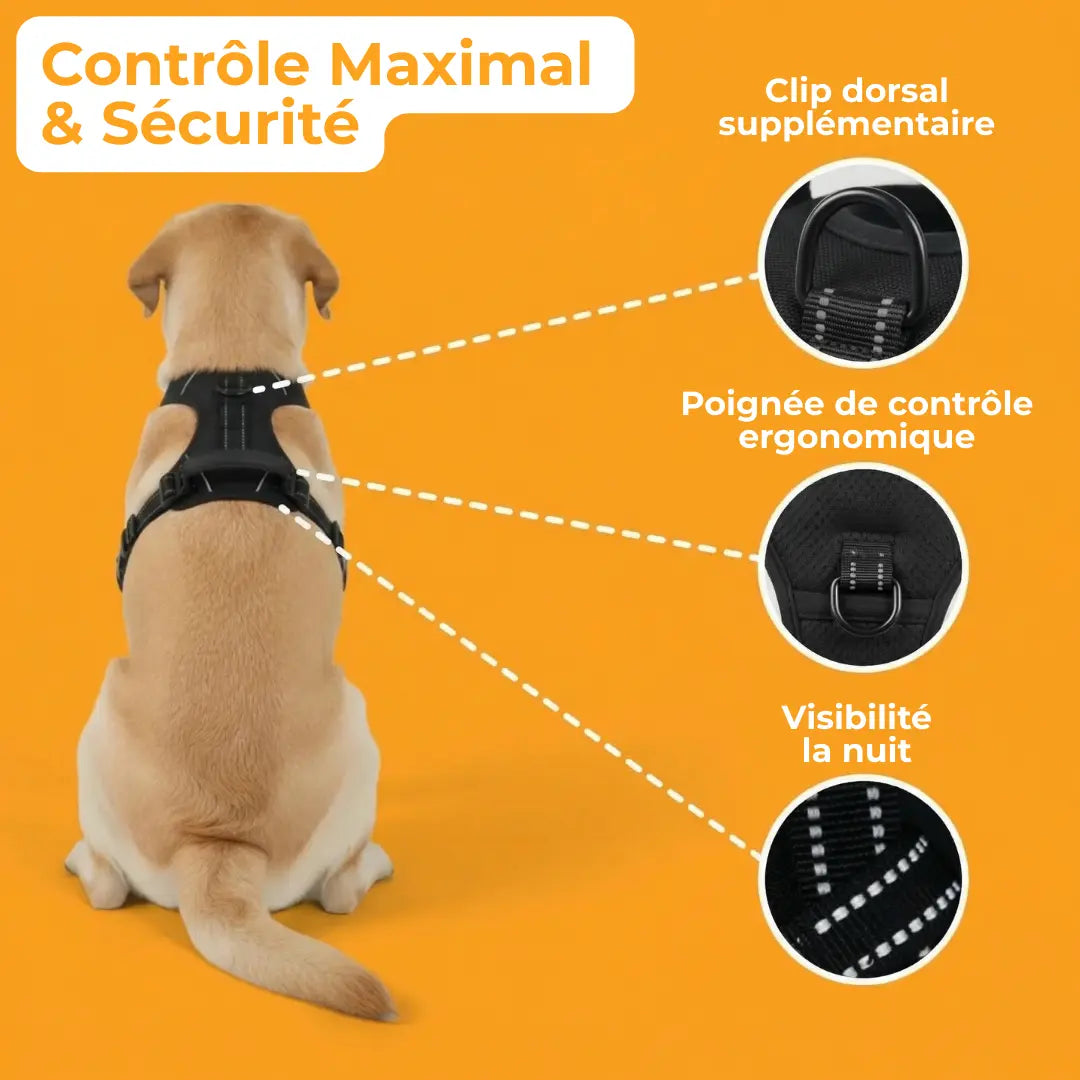 Harnais Anti-Traction DailyPaw