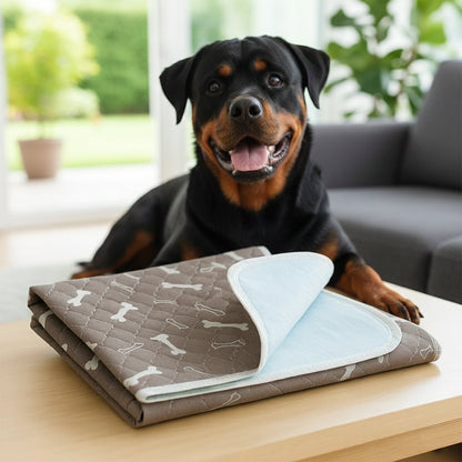 DailyPaw Tapis Absorbant