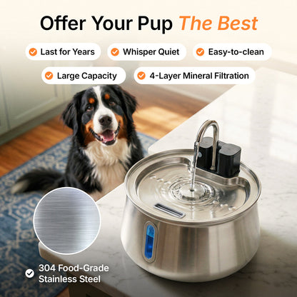 DailyPaw Fountain™