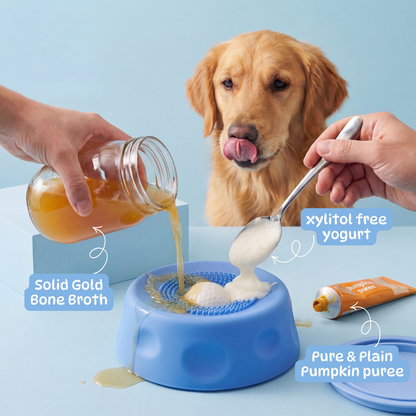 Daily Paw Bowl 2.0