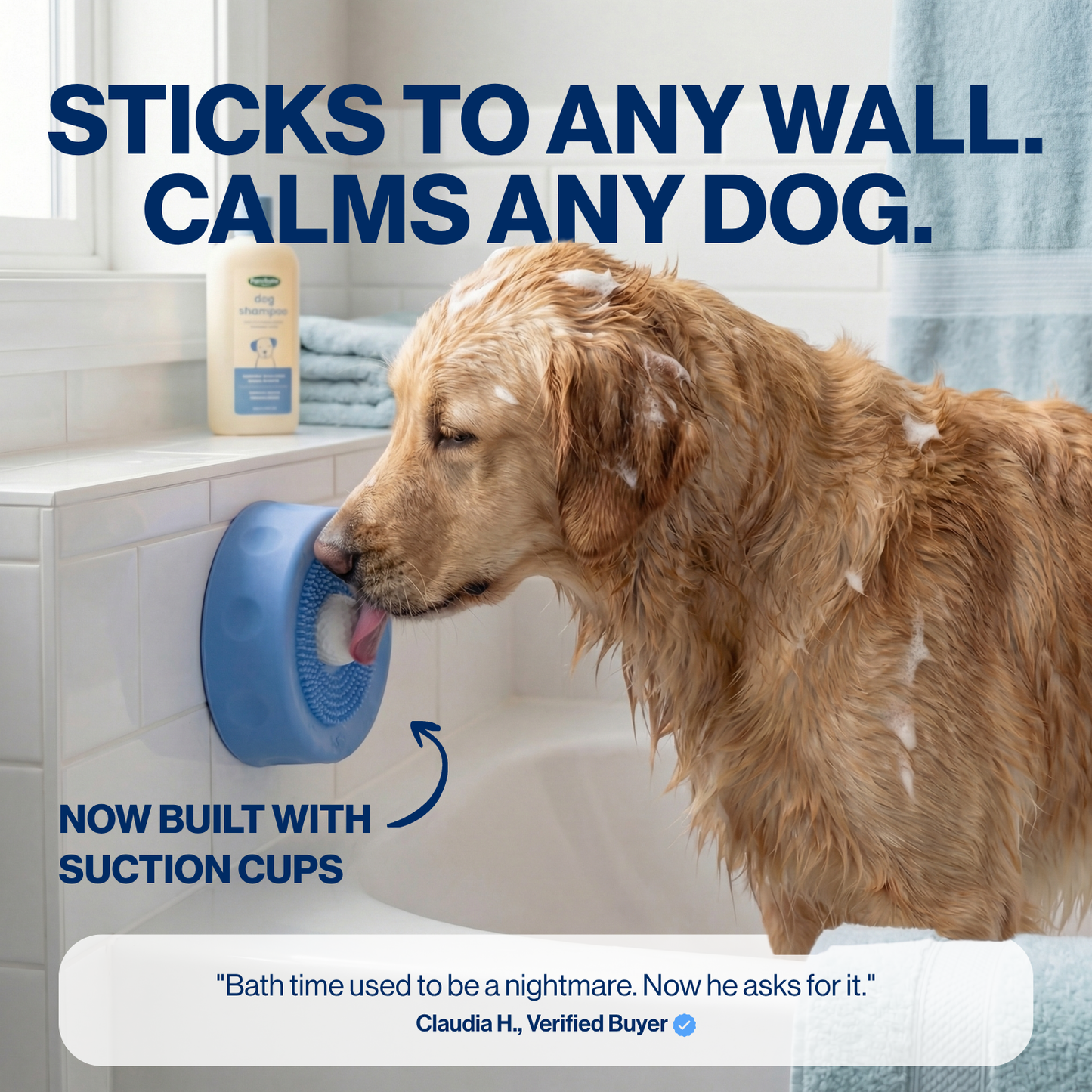 Daily Paw Bowl 2.0