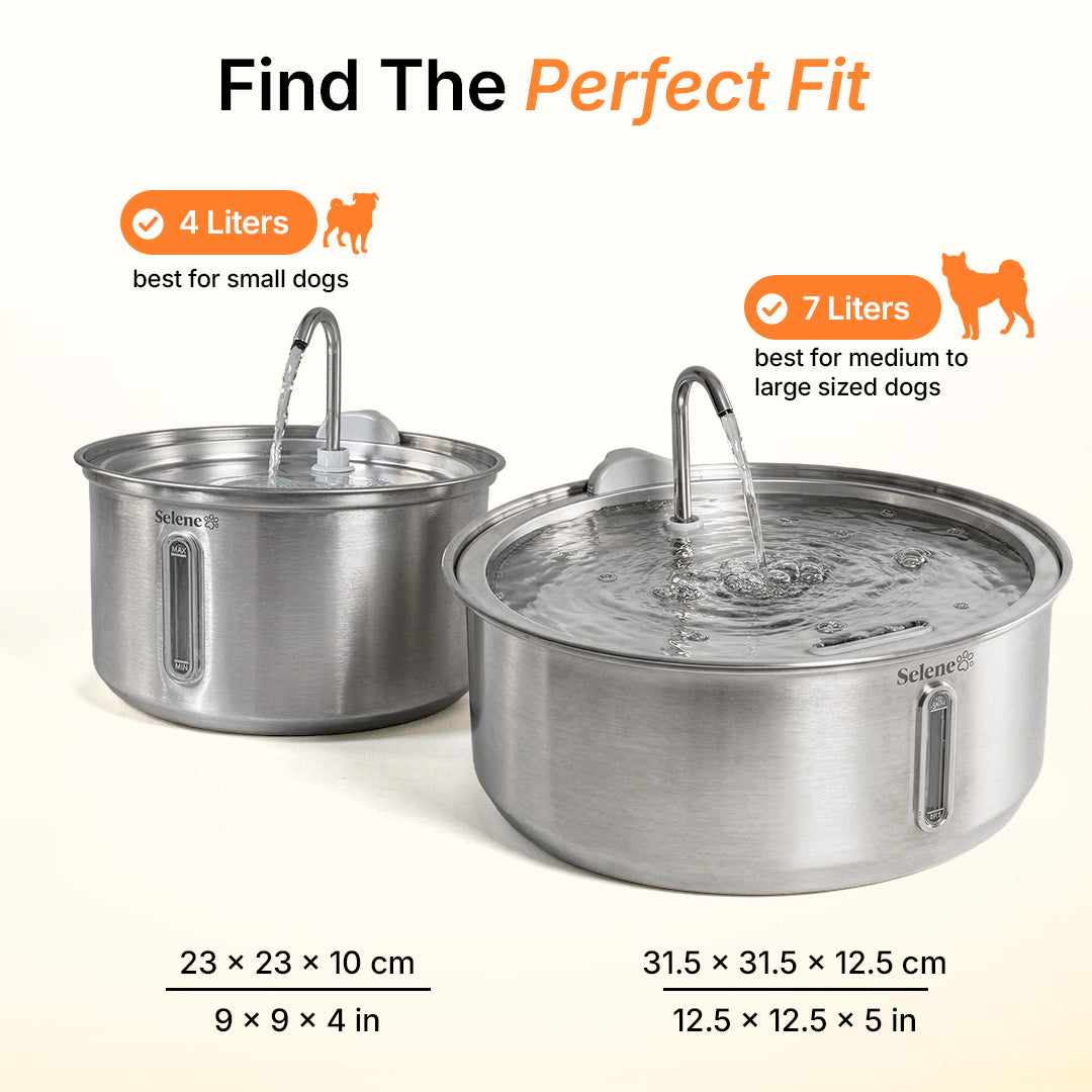 DailyPaw Fountain™