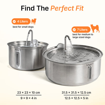DailyPaw Fountain™
