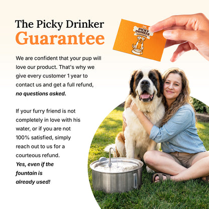 DailyPaw Fountain™