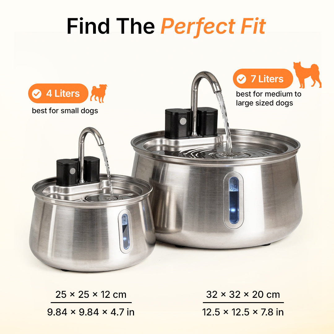 DailyPaw Fountain™