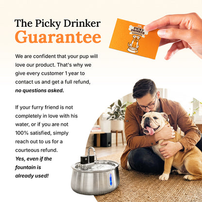 DailyPaw Fountain™