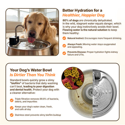 DailyPaw Fountain™