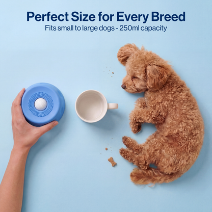 Daily Paw Bowl 2.0