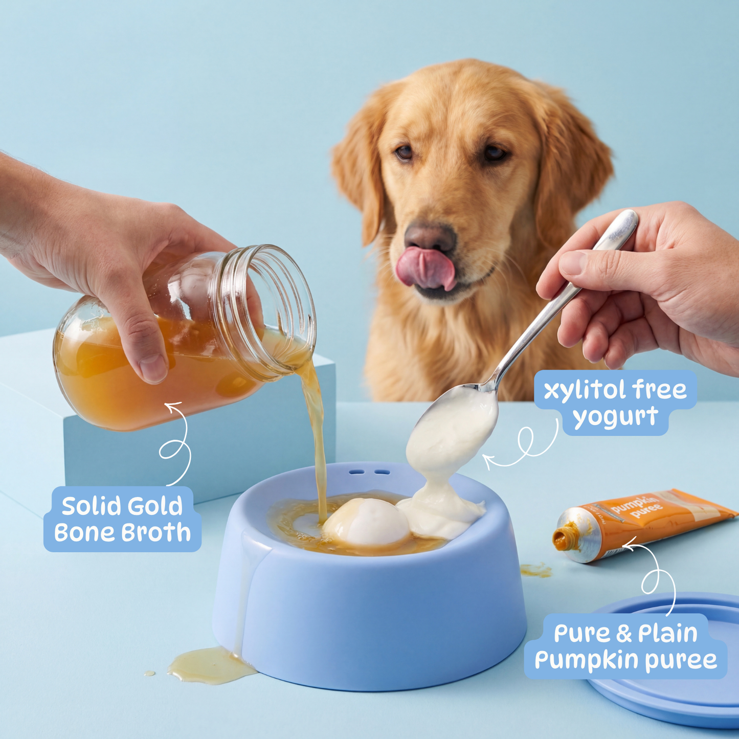 DailyPaw Pup Bowl