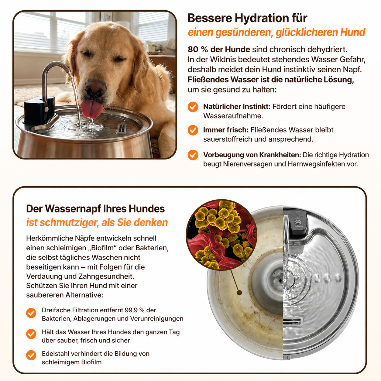 DailyPaw Trinkbrunnen™