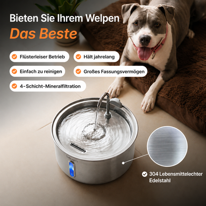 DailyPaw Trinkbrunnen™