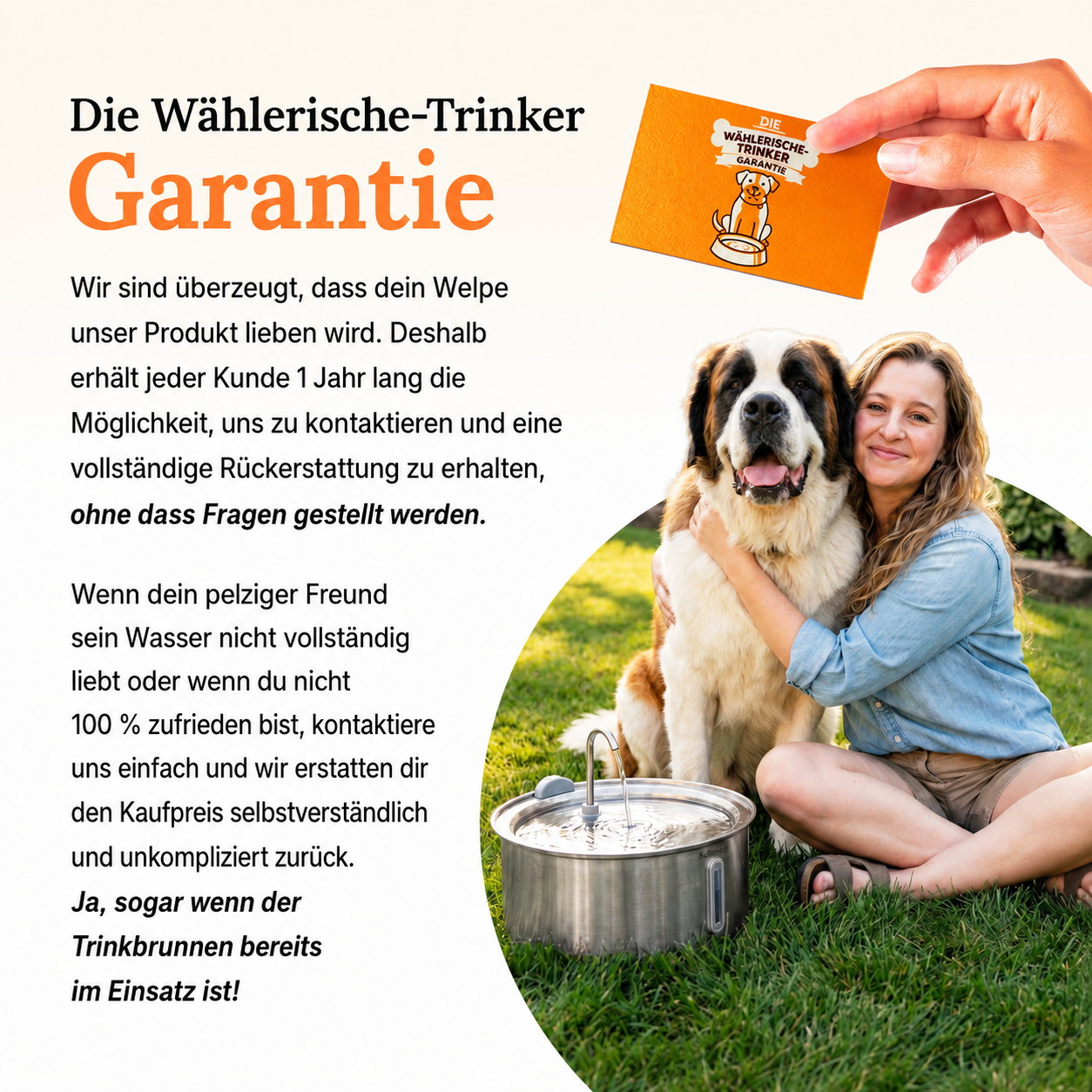 DailyPaw Trinkbrunnen™