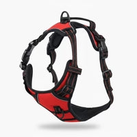 Harnais Anti-Traction DailyPaw