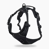 Harnais Anti-Traction DailyPaw