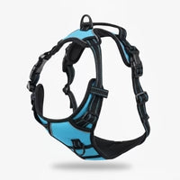 Harnais Anti-Traction DailyPaw