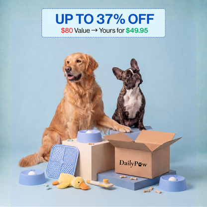 DailyPaw Pup Bowl